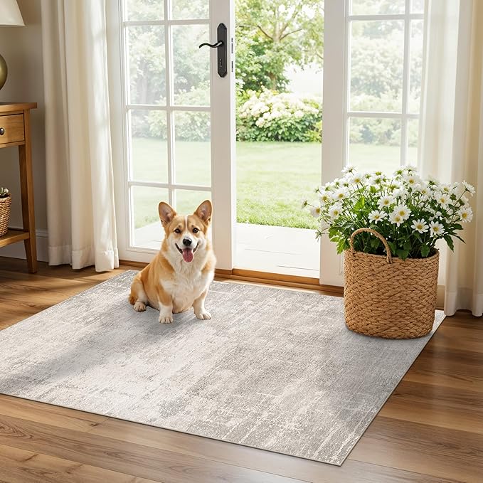 HAOYUNLAI 2x3 Entryway Area Rug: Washable Kitchen Bedroom Carpet Soft Abstract by HYHAOYUNLAI