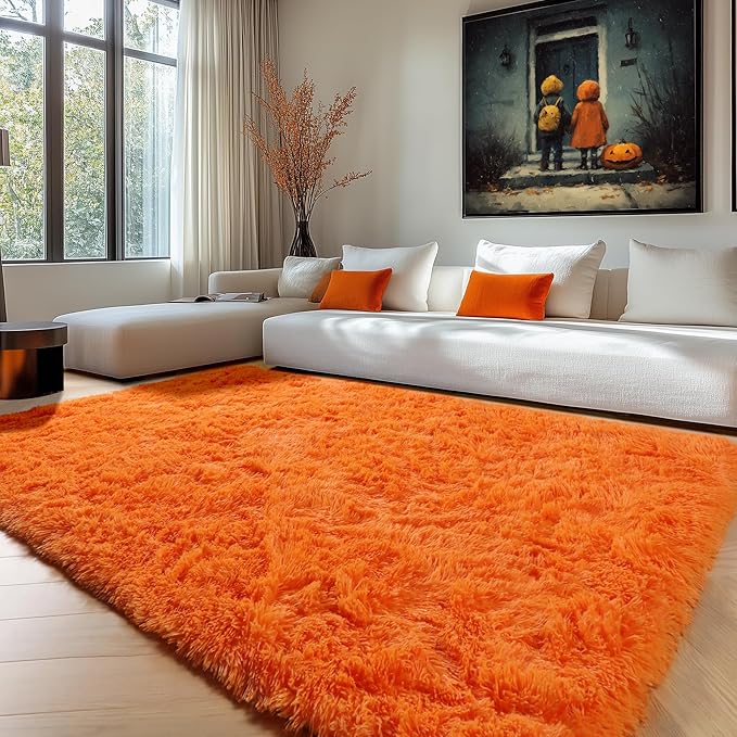 ONASAR Orange Rugs for Living Room Bedroom, 5x8 Fluffy Bedside Area Rug by ONASAR