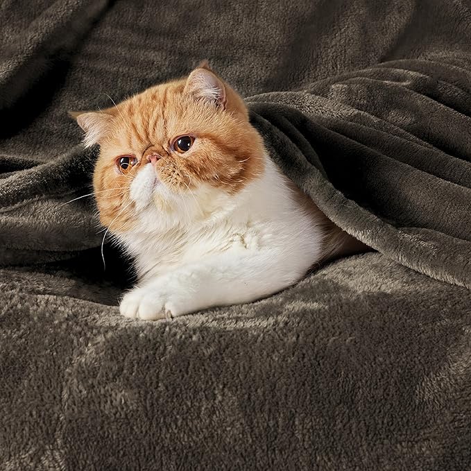 Bedsure GentleSoft Fleece Throw XL Blanket Brown - Image 2