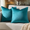 GIGIZAZA Decorative Couch Throw Pillow Covers, Pillow Cases Velvet Pillow Covers by GIGIZAZAFocusingonhomedecoration