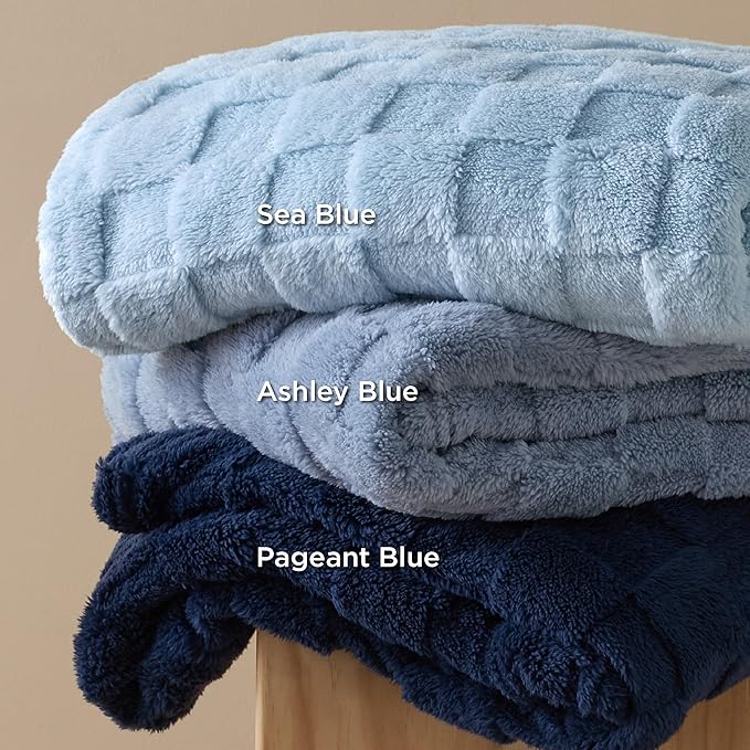 Bedsure GentleSoft Blankets Queen Size - Image 7