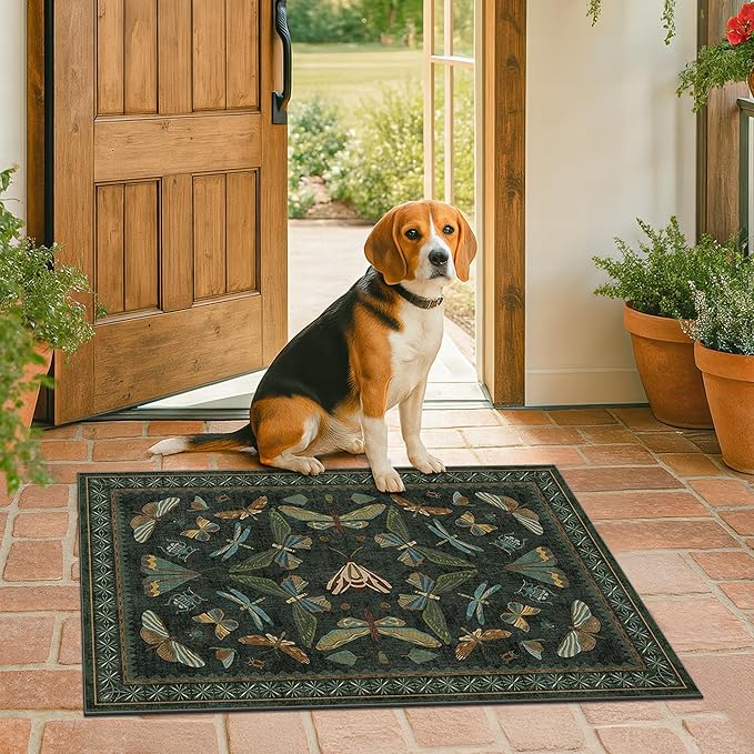 Hazo Haus 2x3 Entry Way Rugs Indoor - Image 8