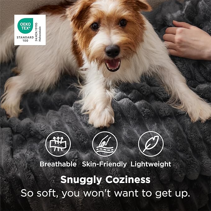 Bedsure GentleSoft Grey Twin Blanket - Image 2