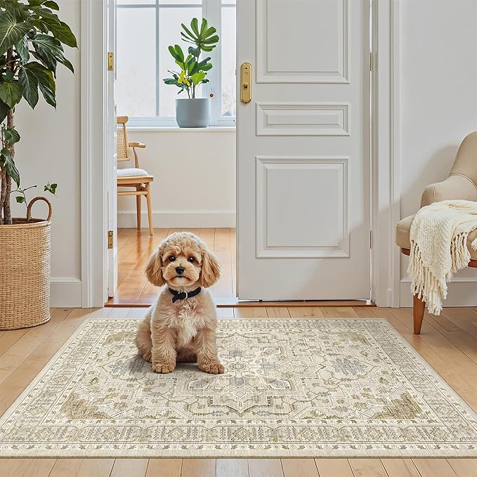 Madane Washable Area Rug 2x3, Small Entryway Rug Non-Slip Vintage Door Mat by Madane