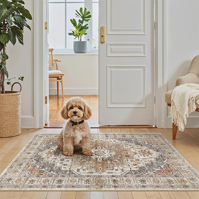 Madane Washable Area Rug 2x3, Small Entryway Rug Non-Slip Vintage Door Mat by Madane