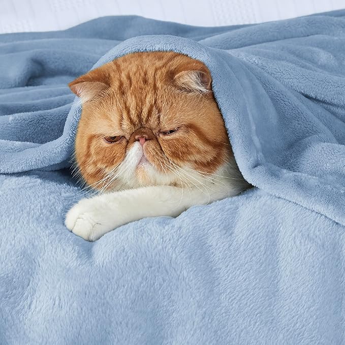 Bedsure GentleSoft Fleece Bed Blankets Queen Size Light Blue - Image 3
