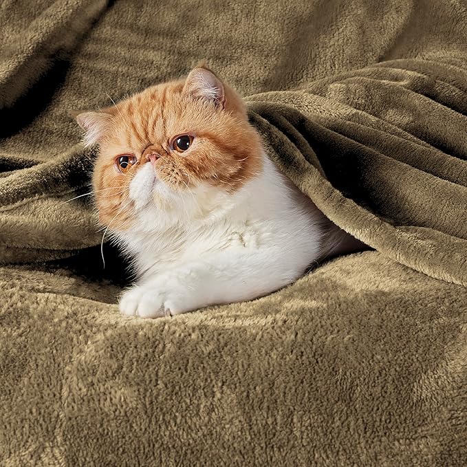 Bedsure GentleSoft Fleece Throw Blanket Camel - Image 2