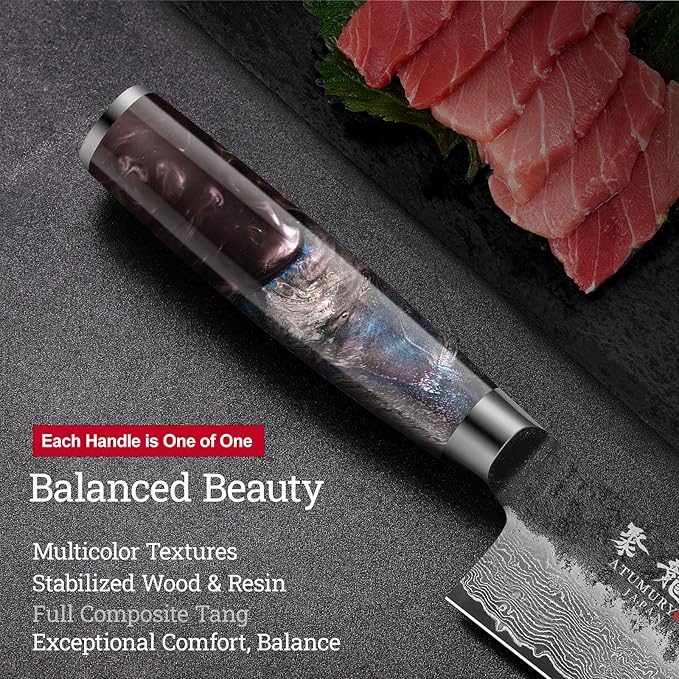 8.27 Inch Japanese Kiritsuke Chef Knife