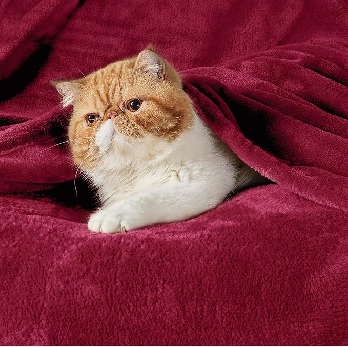 Bedsure GentleSoft Fleece Blanket Twin Size Red - Image 2