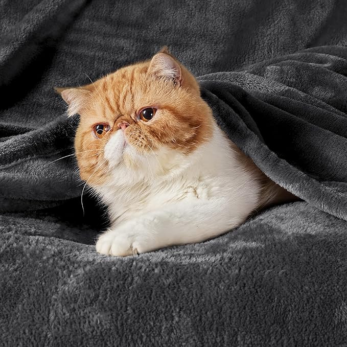 Bedsure GentleSoft Fleece Blankets Queen Size Dark Grey - Image 2