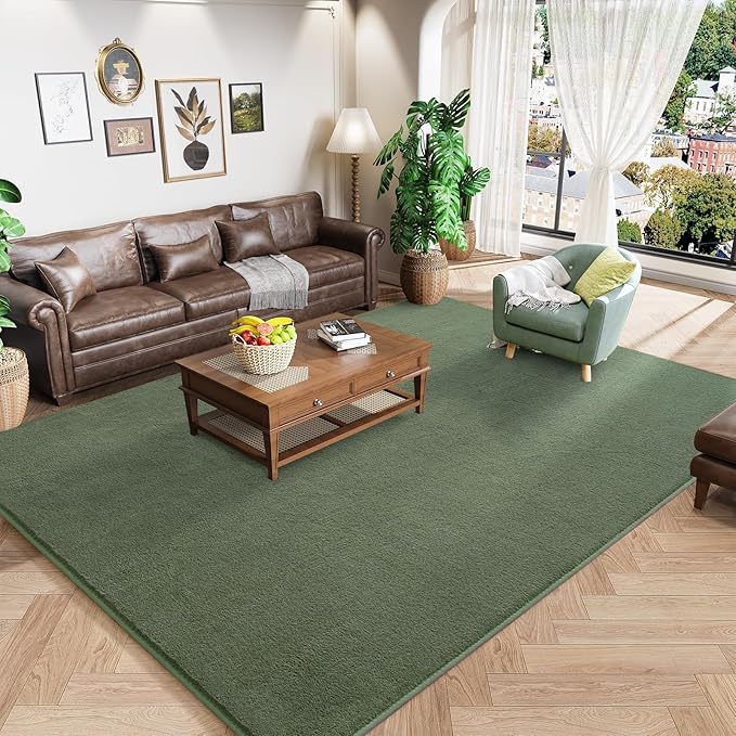 Amearea Large Modern Area Rugs for Bedroom Living Room, 5x8 Feet Sage Green by AmeareaDirect